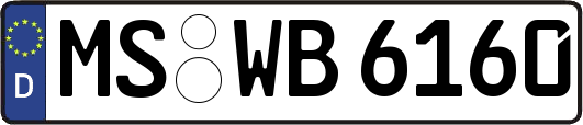 MS-WB6160