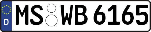 MS-WB6165