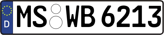 MS-WB6213