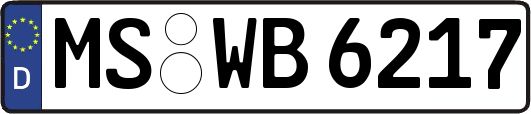 MS-WB6217