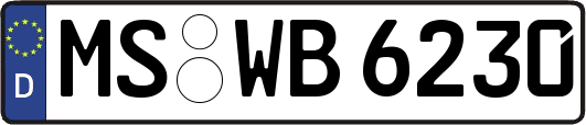 MS-WB6230