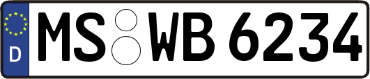 MS-WB6234