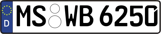 MS-WB6250