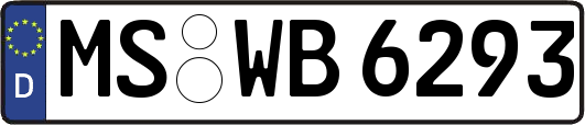 MS-WB6293
