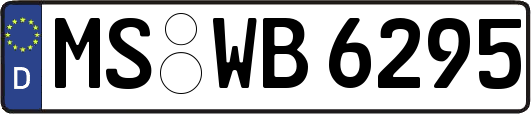 MS-WB6295