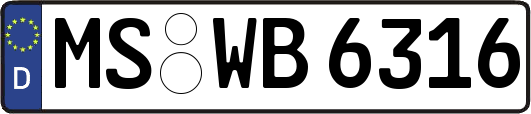 MS-WB6316