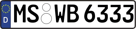 MS-WB6333