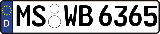 MS-WB6365