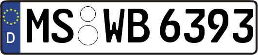 MS-WB6393