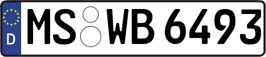 MS-WB6493