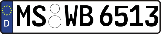 MS-WB6513