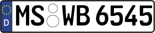 MS-WB6545