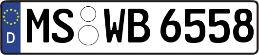MS-WB6558