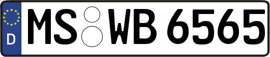 MS-WB6565