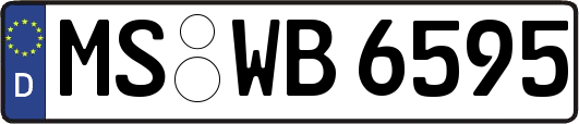 MS-WB6595