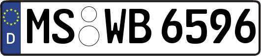MS-WB6596