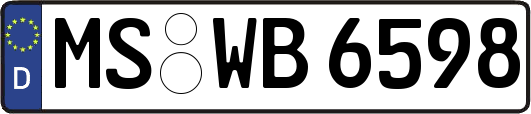 MS-WB6598