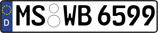 MS-WB6599