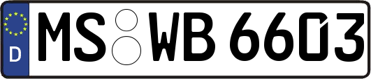 MS-WB6603