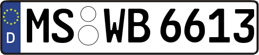 MS-WB6613