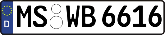 MS-WB6616