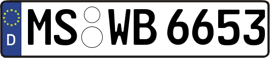 MS-WB6653