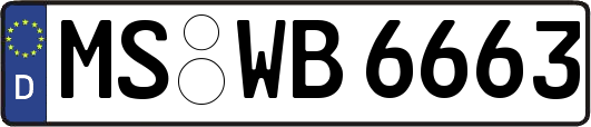 MS-WB6663
