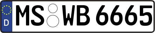 MS-WB6665