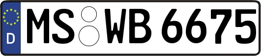 MS-WB6675