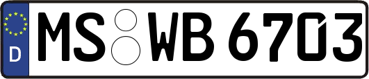 MS-WB6703