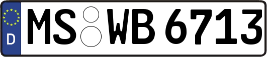MS-WB6713