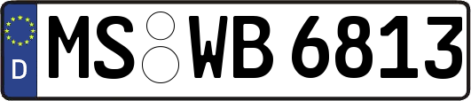 MS-WB6813