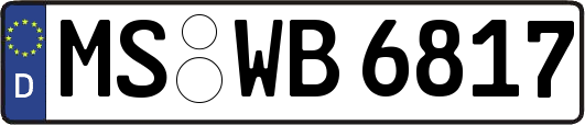 MS-WB6817