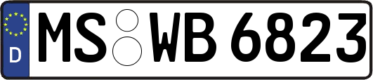 MS-WB6823