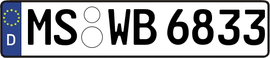 MS-WB6833