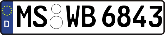 MS-WB6843