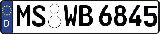 MS-WB6845
