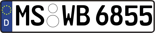 MS-WB6855