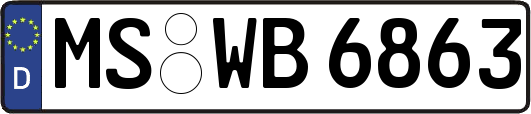 MS-WB6863