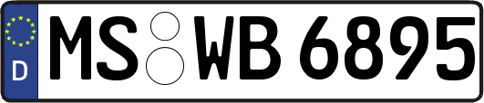 MS-WB6895