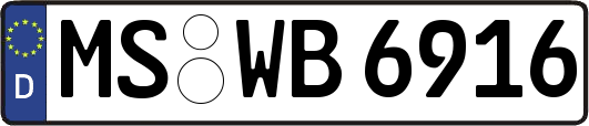 MS-WB6916