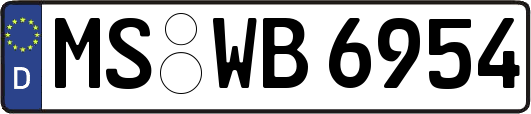 MS-WB6954