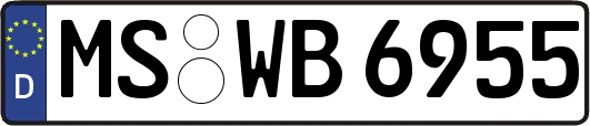 MS-WB6955