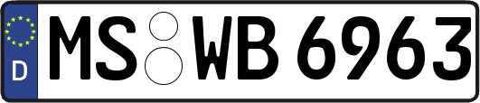 MS-WB6963