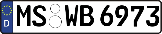MS-WB6973