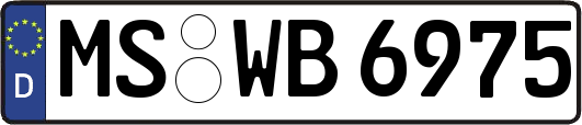 MS-WB6975