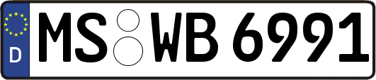 MS-WB6991