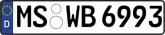 MS-WB6993