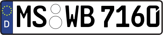 MS-WB7160