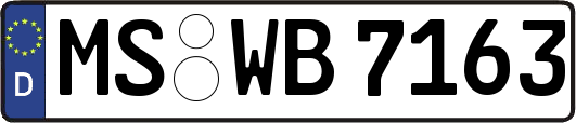 MS-WB7163